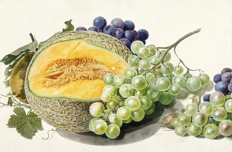 Melone e uva